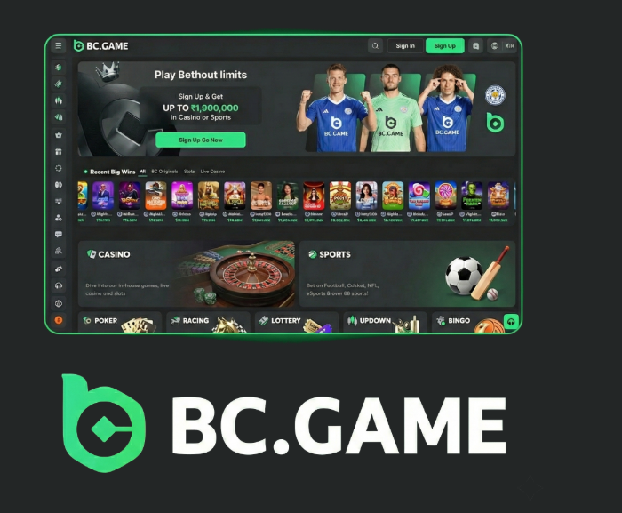 Exploring the BC.Game Mobile App A Revolutionary Gaming Experience